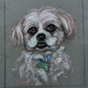 Adorable Shih Tzu Oil Pastel